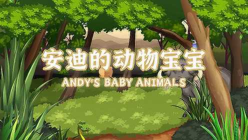 安迪的动物宝宝-01