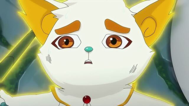 京剧猫:白糖第一次出现韵纹,即使倒下,关心的还是韵纹