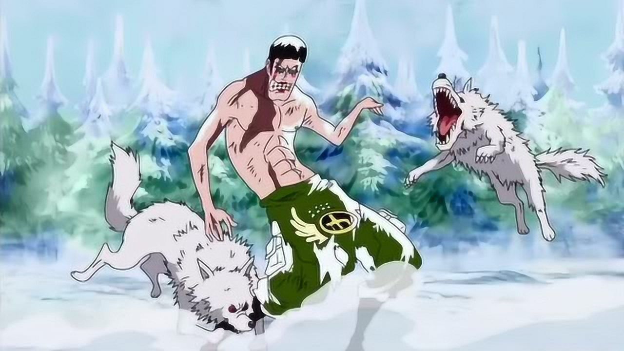 海贼王冯克雷致我们永远的伙伴