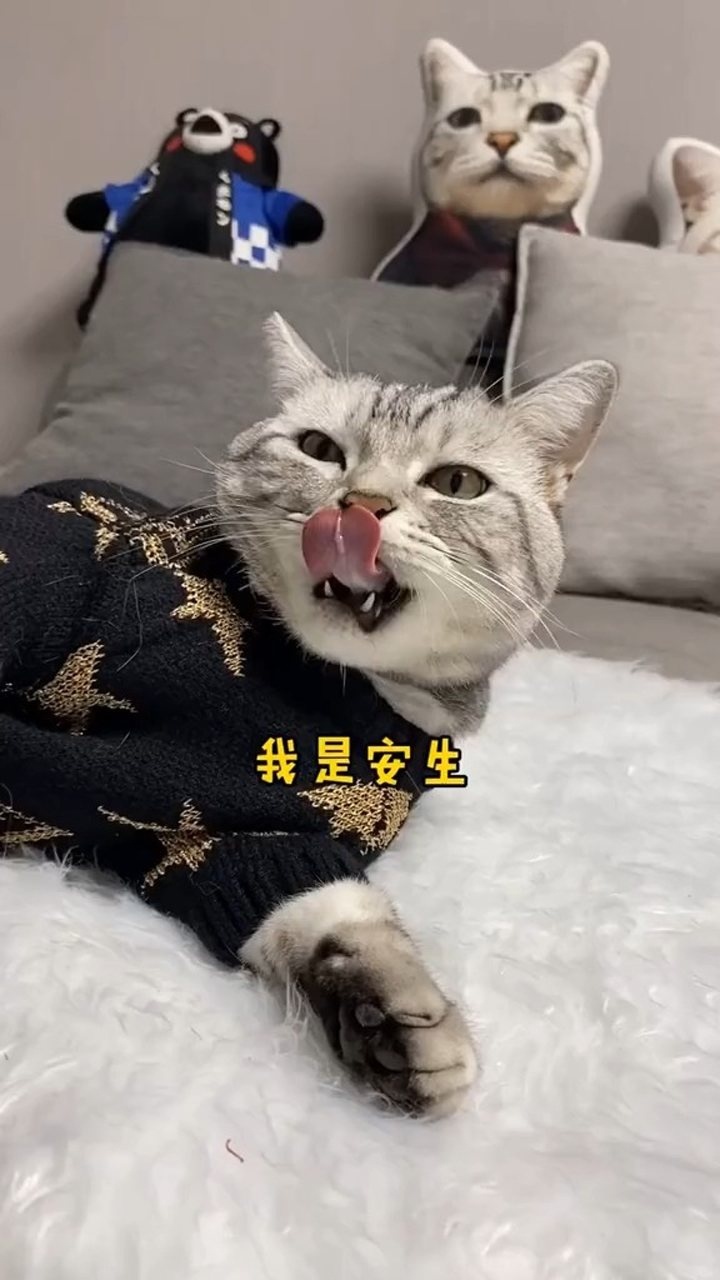 安生的爸爸and妈妈千万别看到最后给我留点面子吧