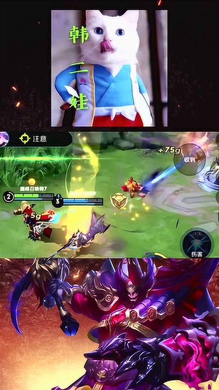 王者荣耀韩二娃:二娃被林度秀一脸