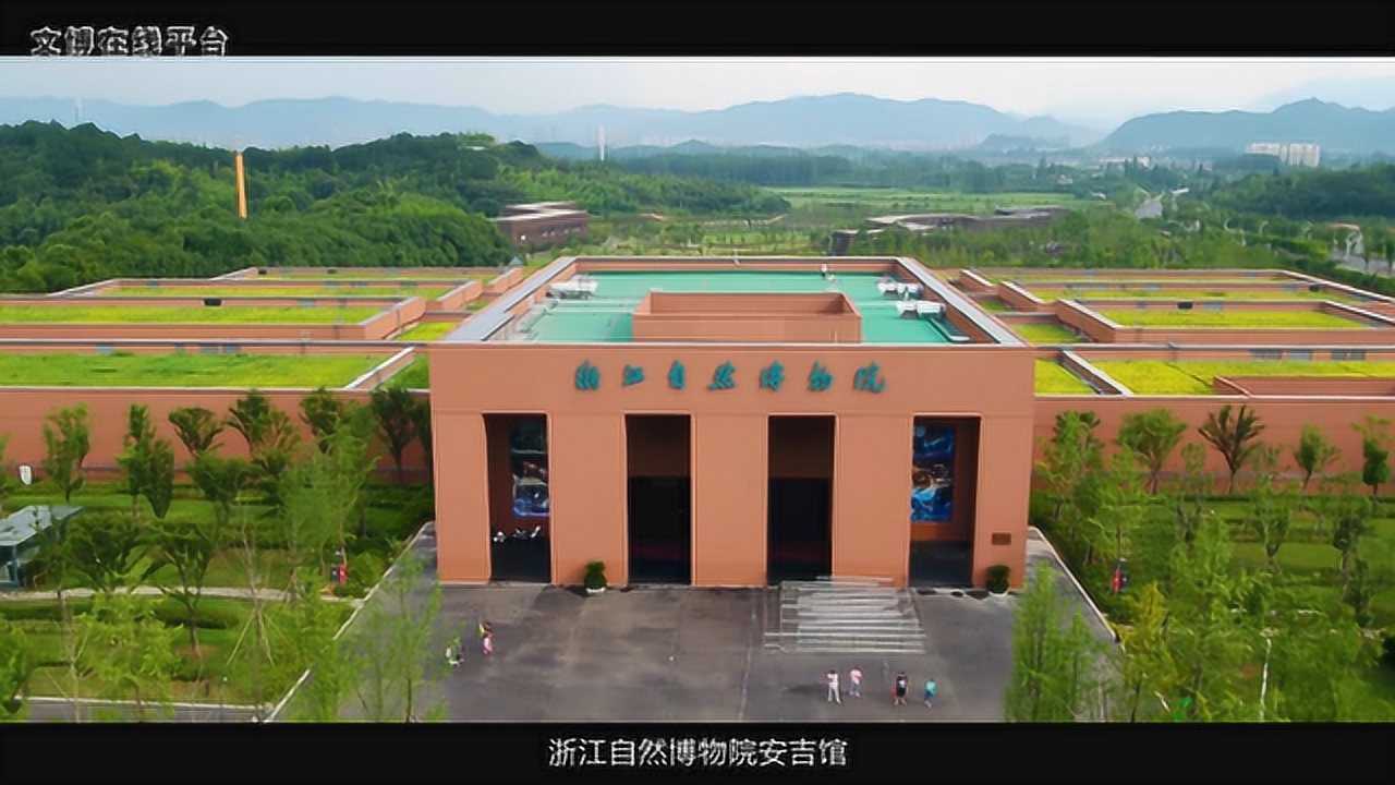 浙江自然博物院安吉馆基本陈列