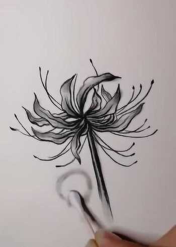 手绘教程#教你画彼岸花