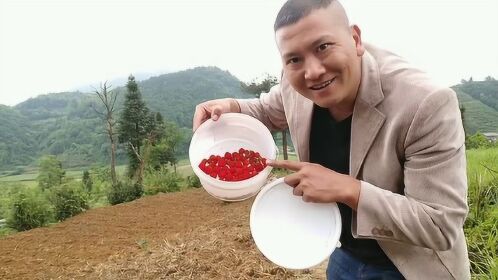 农村这种空筒泡学名蓬蘽,成熟期稍晚于覆盆子,香甜味美