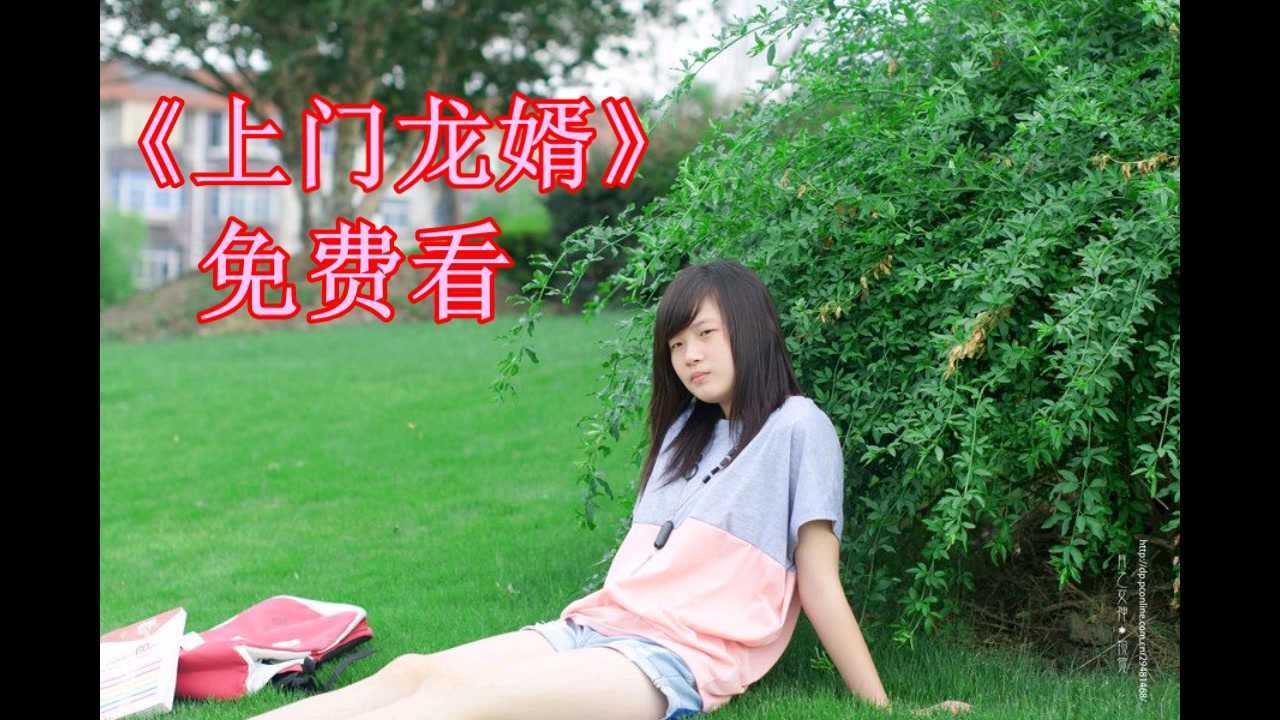 上门龙婿叶辰完结版电视剧