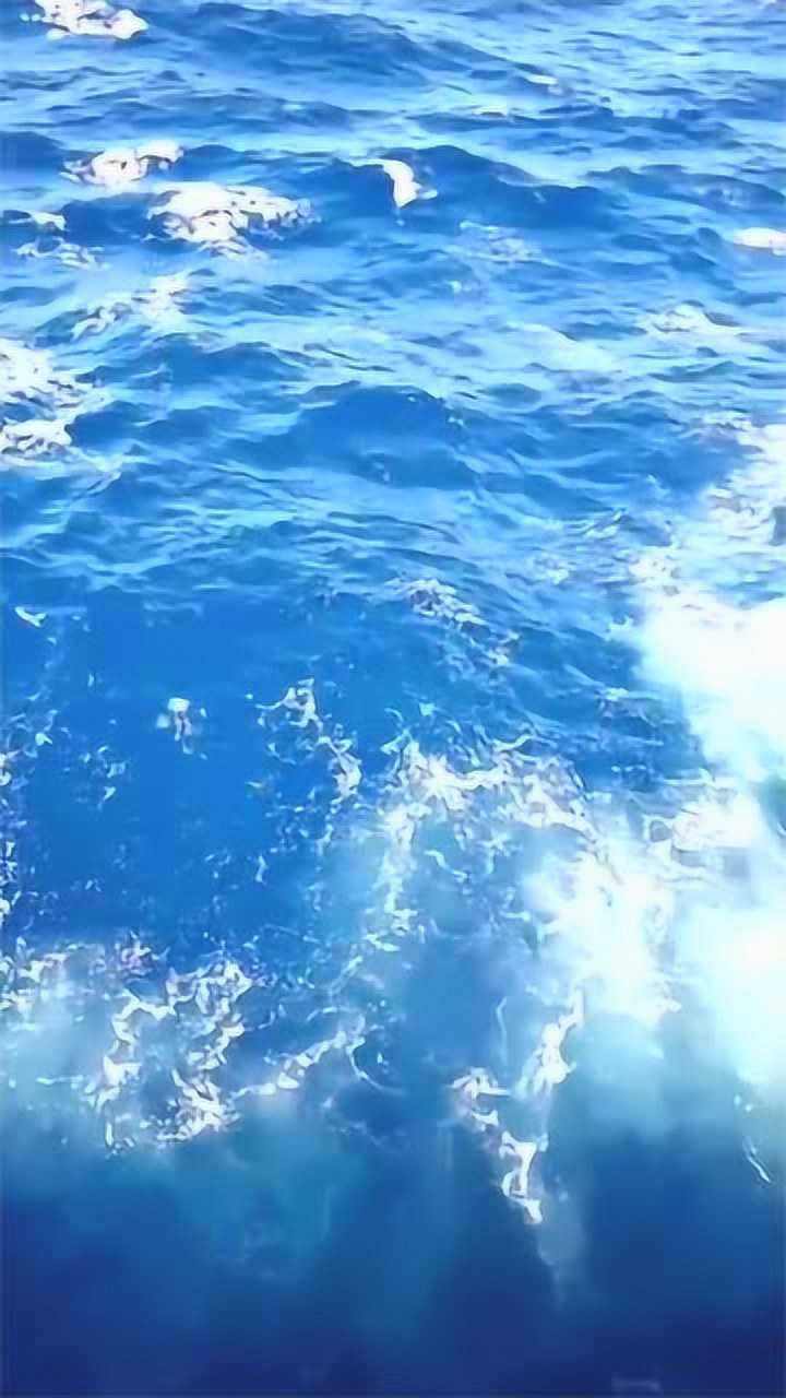 这才是深海的真实面目大自然真的很伟大深海恐惧症慎入