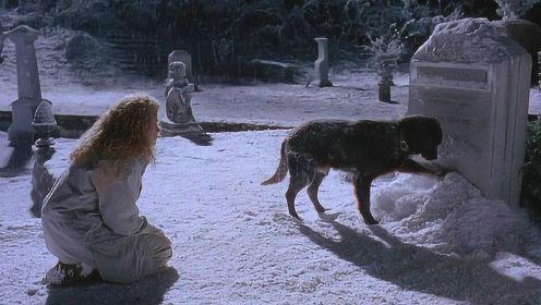 狗狗刨开墓碑积雪，妻子这才知道它是前世丈夫，一部感人爱情电影