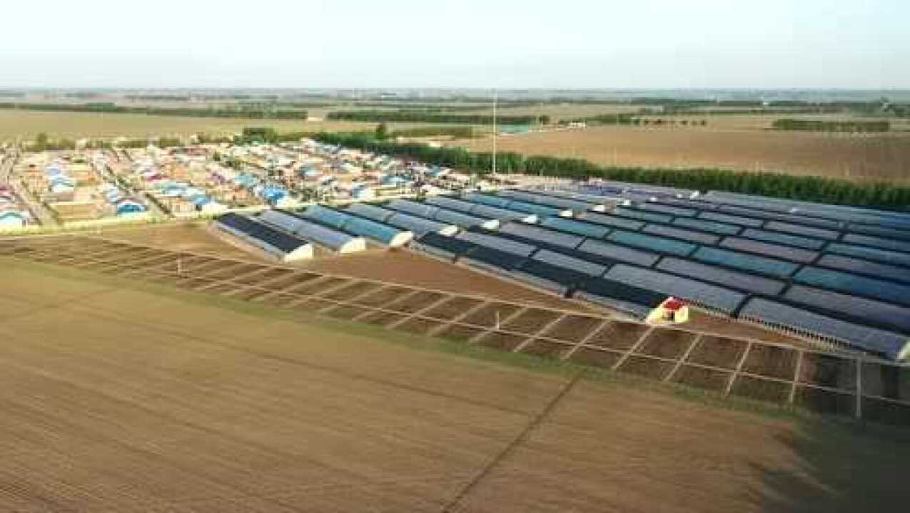 松原市宁江区伯都乡杨家生态休闲旅游区_高清1080P在线观看平台_腾讯视频