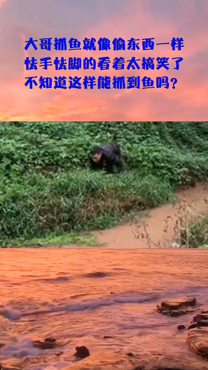 大哥抓鱼就像偷东西一样怯手怯脚的看着太搞笑了不知道这样能抓到鱼吗