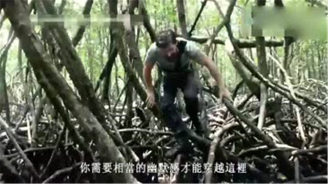 单挑荒野:德爷最新纪录片,与皇家海军陆战队员单挑荒野竞赛