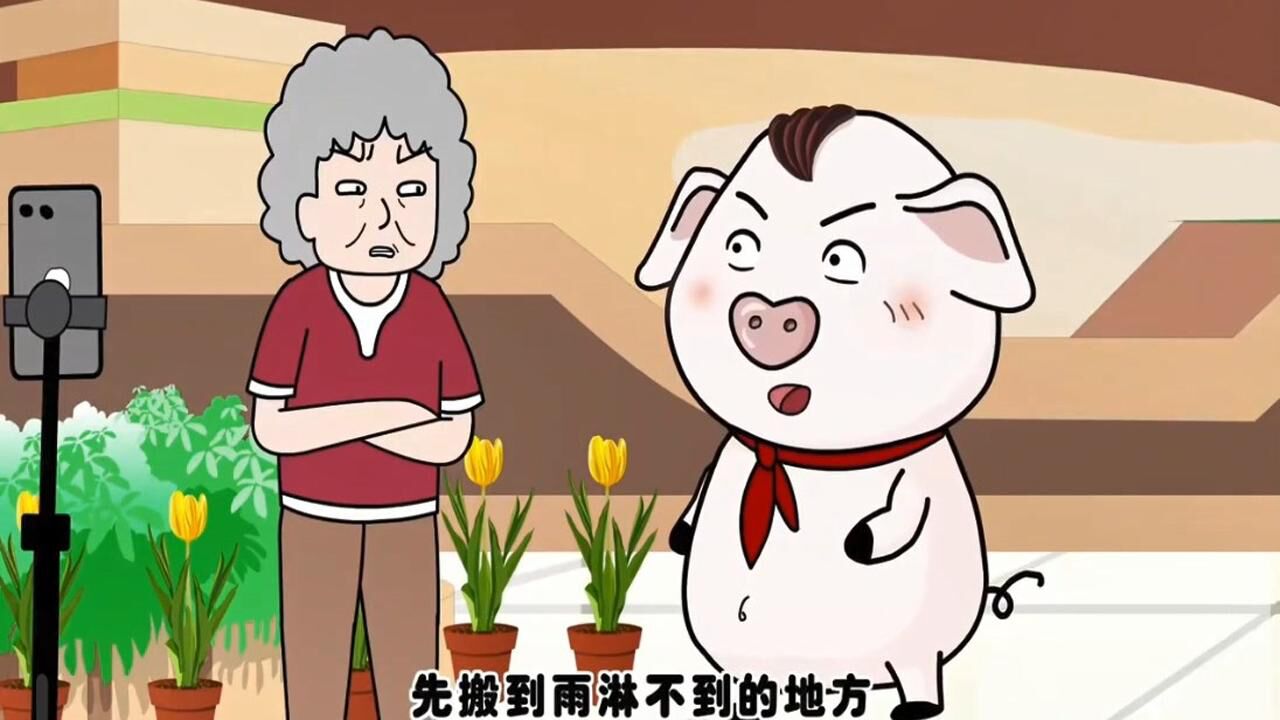 猪屁登屁登做好事反被骂居然还被10万人围观了