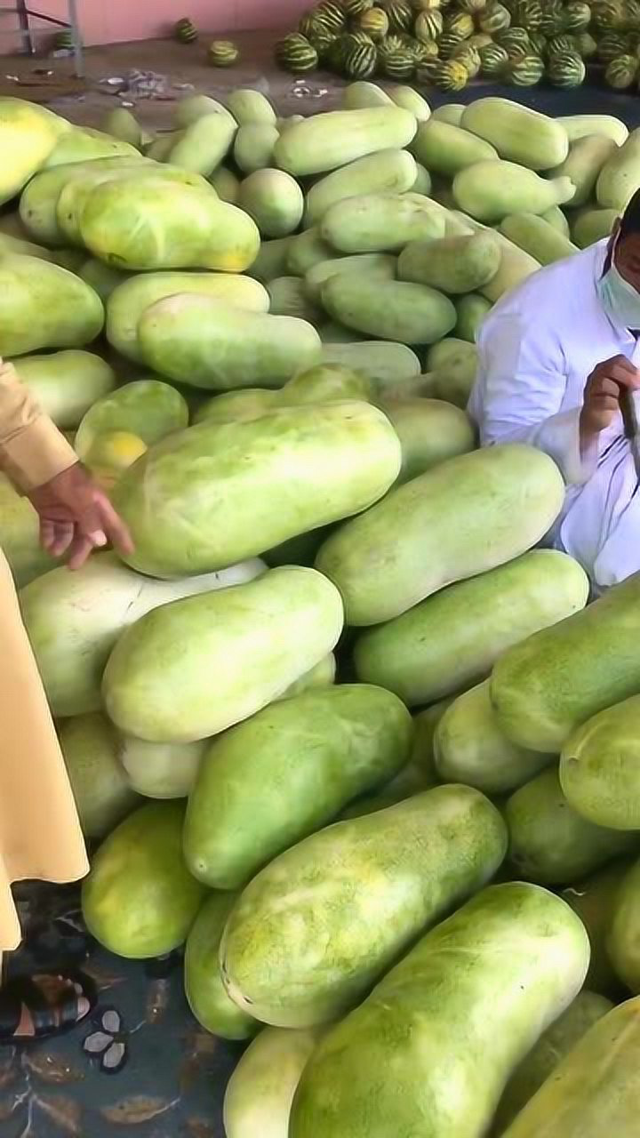 印度这瓜真是让人看不懂,也不知道是冬瓜,还是西瓜!