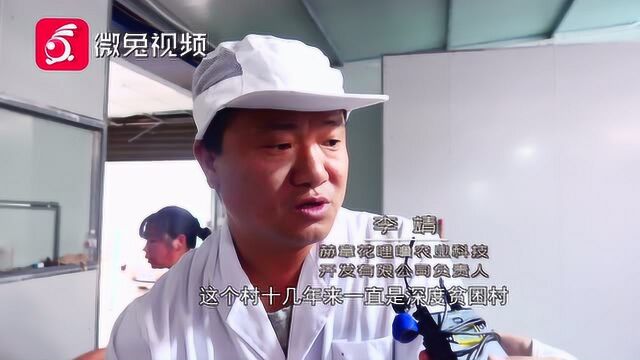 决胜黔线:玫瑰开出金凤凰