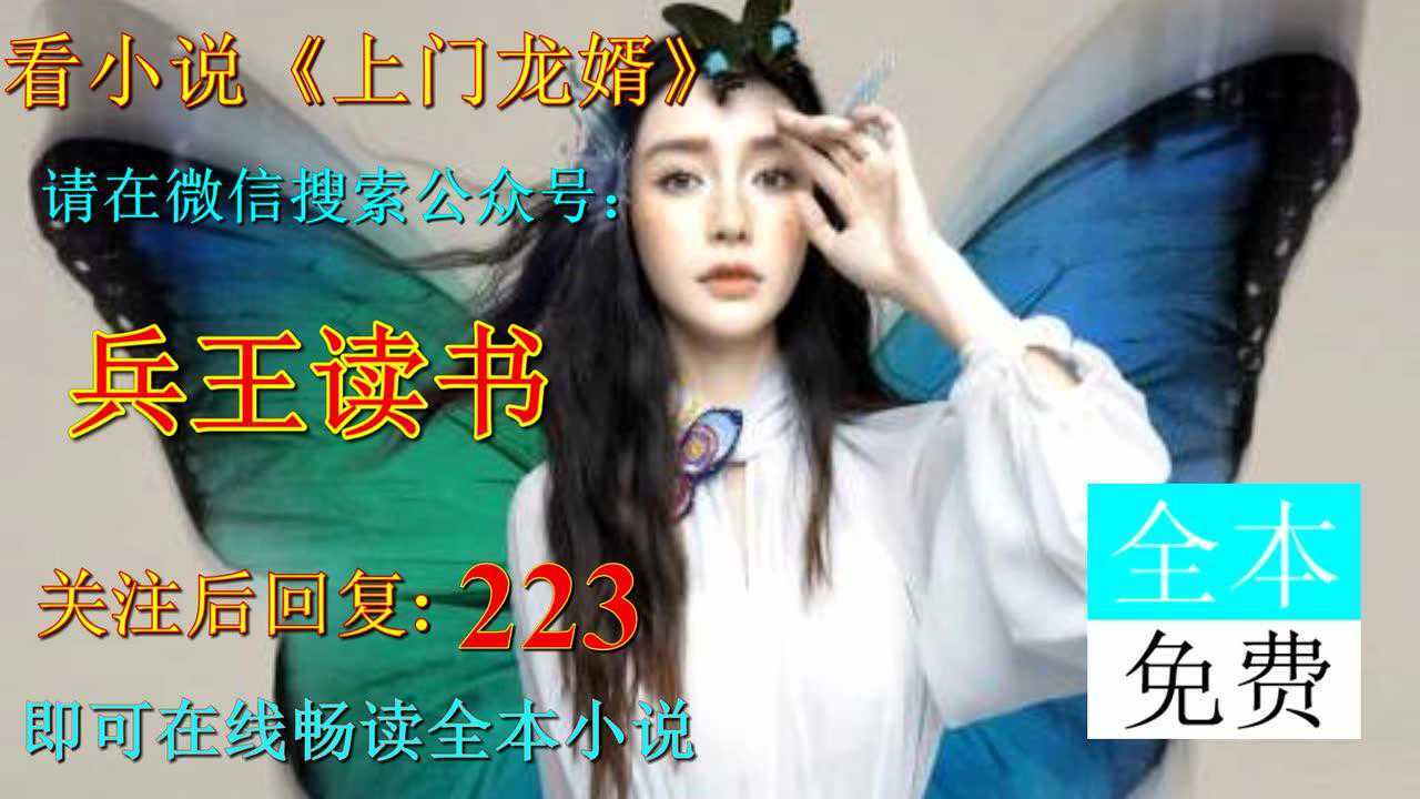 【上门龙婿】叶辰帝豪集团霸道总裁