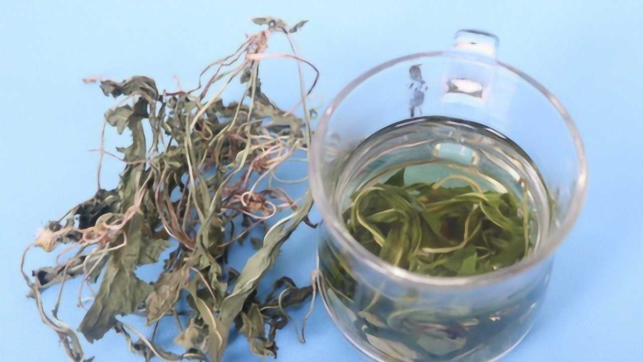 蒲公英泡水喝好,还是煮水喝好,现在知道还不晚,别不当回事