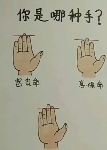 据说食指和无名指一样长的人,智商非常高!