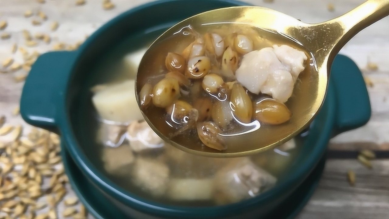 广东靓汤麦芽山药炖瘦肉味道清甜营养常喝健脾祛食积做法简单