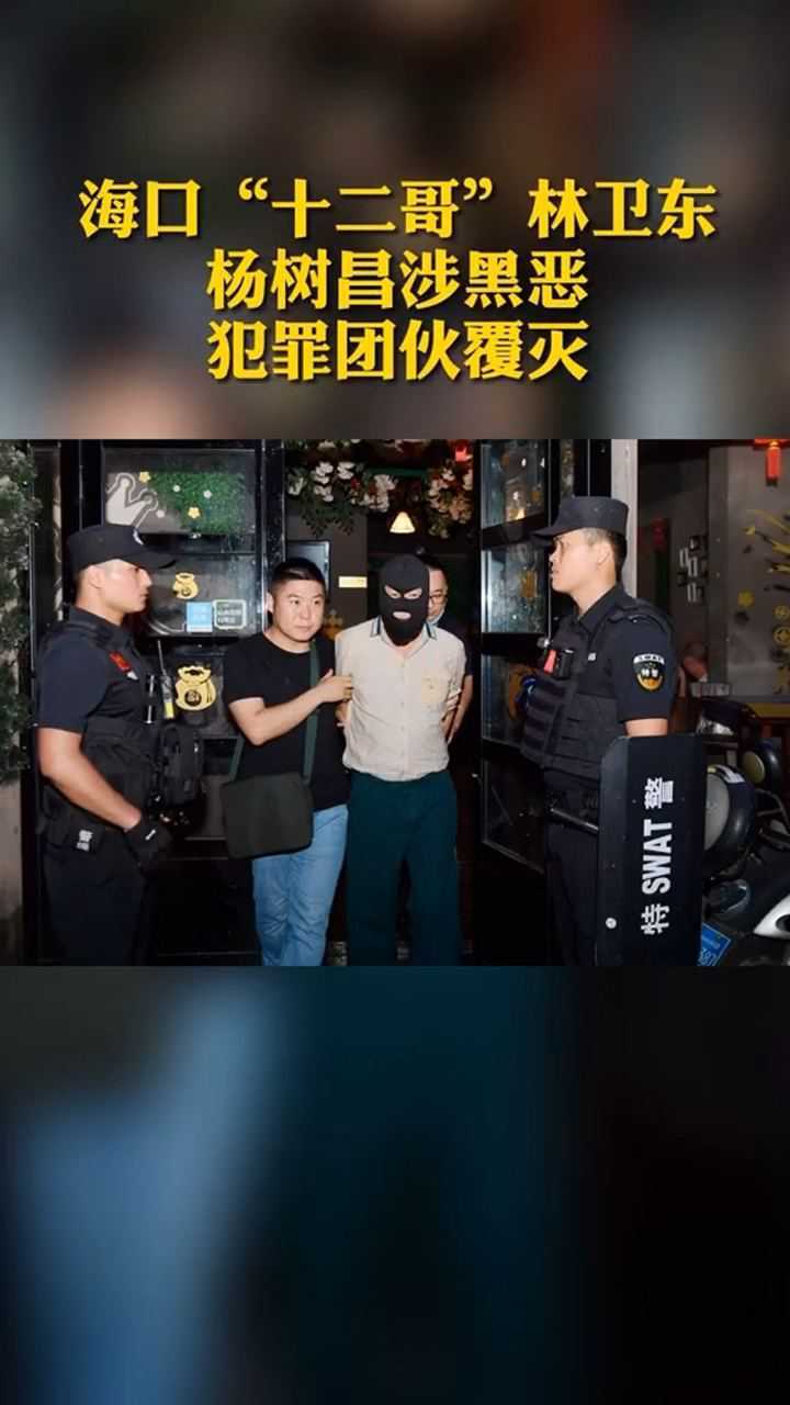 海口十二哥林卫东杨树昌涉黑恶犯罪团伙覆灭