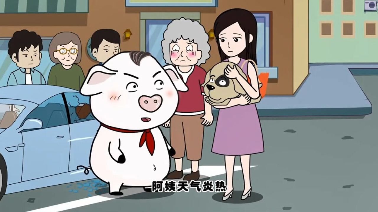 猪屁登:要是今天没有屁登,这只可爱的小狗就失去生命了!
