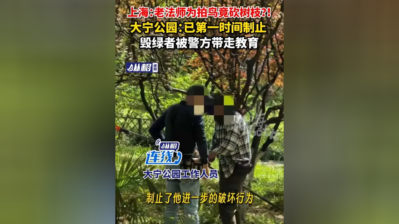 上海:老法师为拍鸟竟砍树枝?!大宁公园:已第一时间制止,毁绿者被警方带走教育_腾讯新闻
