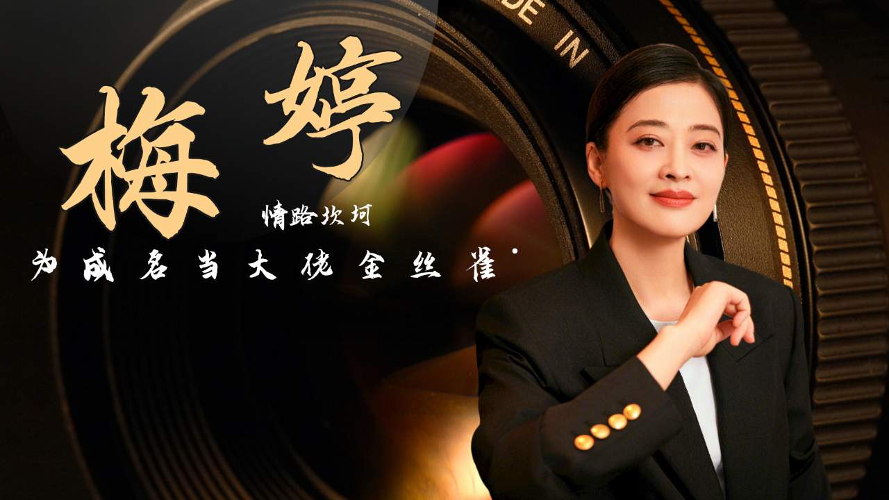 为京圈大佬从中戏退学,拿400万养鄢颇7年,梅婷现在怎么样了?