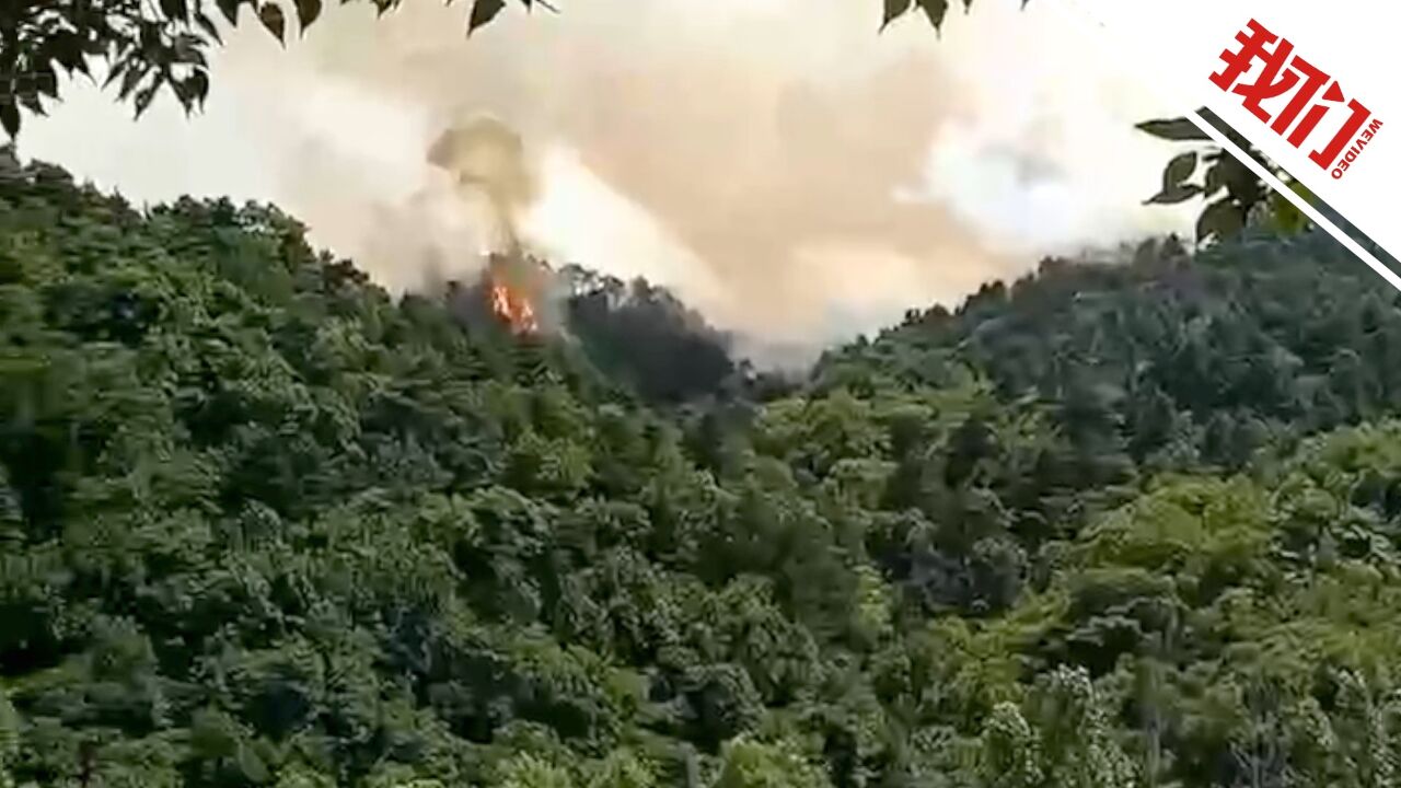 山西临汾安泽县发生山火,600余人到场扑救,当地应急