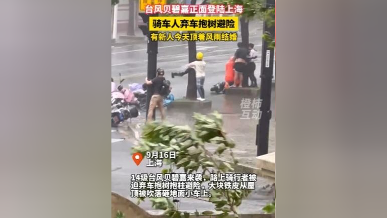 台风贝碧嘉正面登陆上海骑车人弃车抱树避险,有新人今天顶着风雨结婚