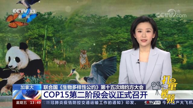 COP15第二阶段会议召开,将签署“2020年后全球生物多样性框架”