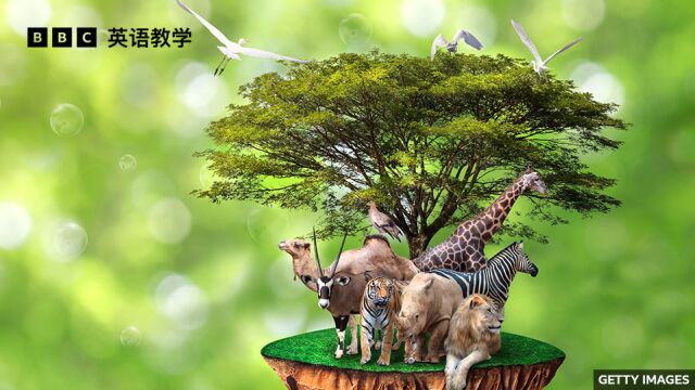 BBC英语大破解:什么是生物多样性 biodiversity?