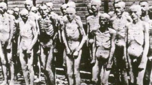 二战期间，大批犹太人被德军抓捕，被关在奥斯维辛集中营痛苦的生活