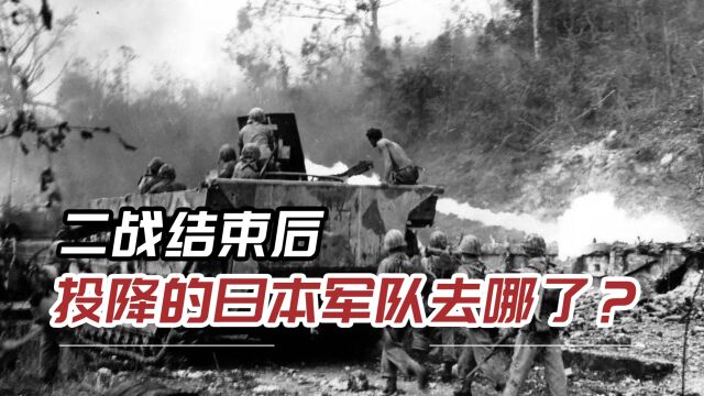 78年前,日本投降时700万名士兵和上万件装备,是如何分配的?