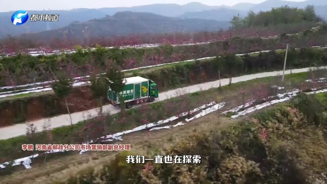 “河南邮政直播基地”揭牌!四级直播矩阵助力农民增收!