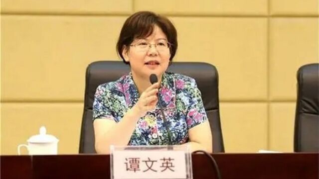 全国政协委员谭文英:建议每辆车每年可享受固定天数高速免费