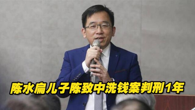 陈水扁儿子陈致中洗钱案判刑1年,并科罚金150万元新台币