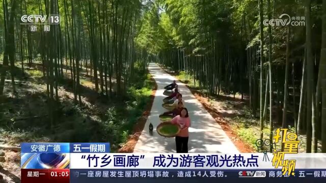 五一假期安徽广德“竹乡画廊”成为游客观光热点