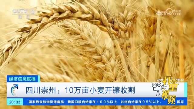 四川崇州:10万亩小麦开镰收割