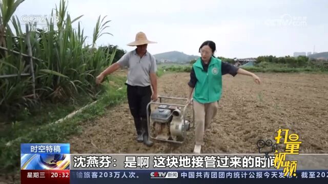 90后女农机流转土地、提供托管服务,撂荒地创新价值