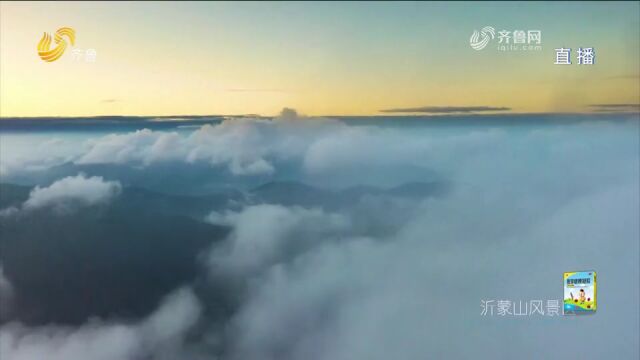 临沂到底有多美?《悦动临沂》重磅首发,这个视频给你答案