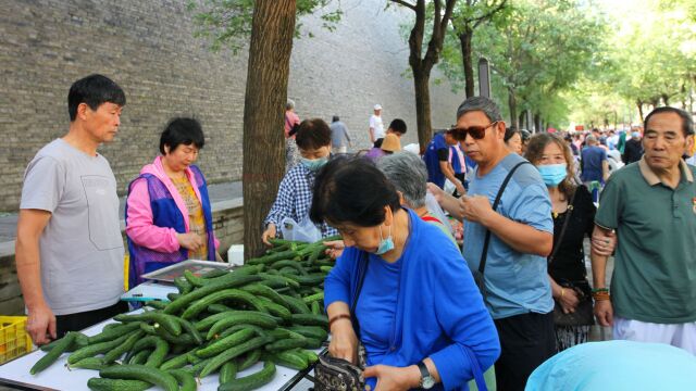 西安城墙根早市:菜价低人气旺,西安四方城内最具烟火气的地方