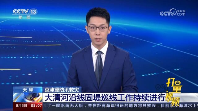 天津:大清河沿线固堤巡线工作持续进行