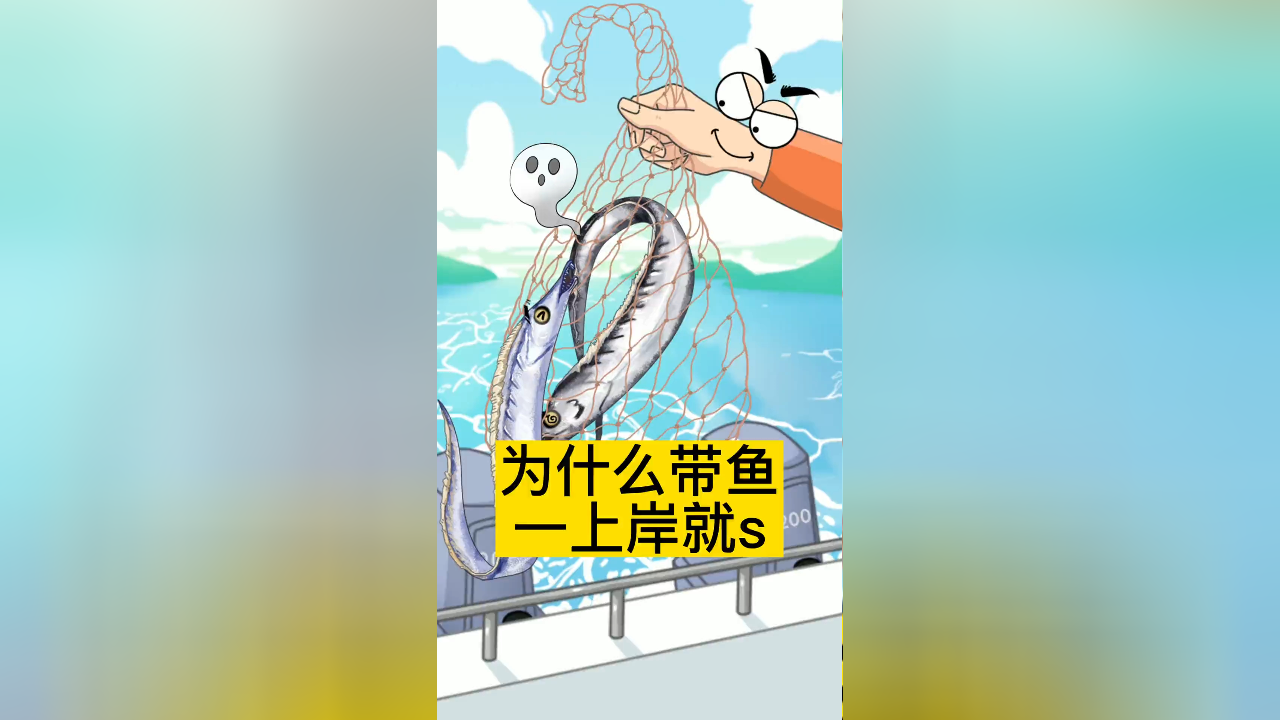 为什么带鱼一上岸就s