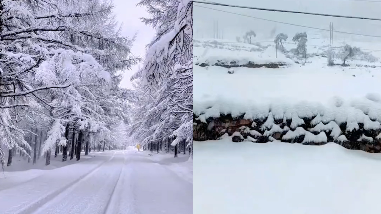 鹅毛大雪表情包图片