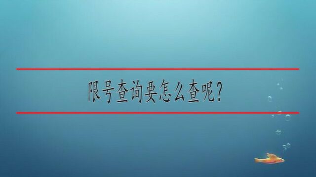 限号查询要怎么查呢?