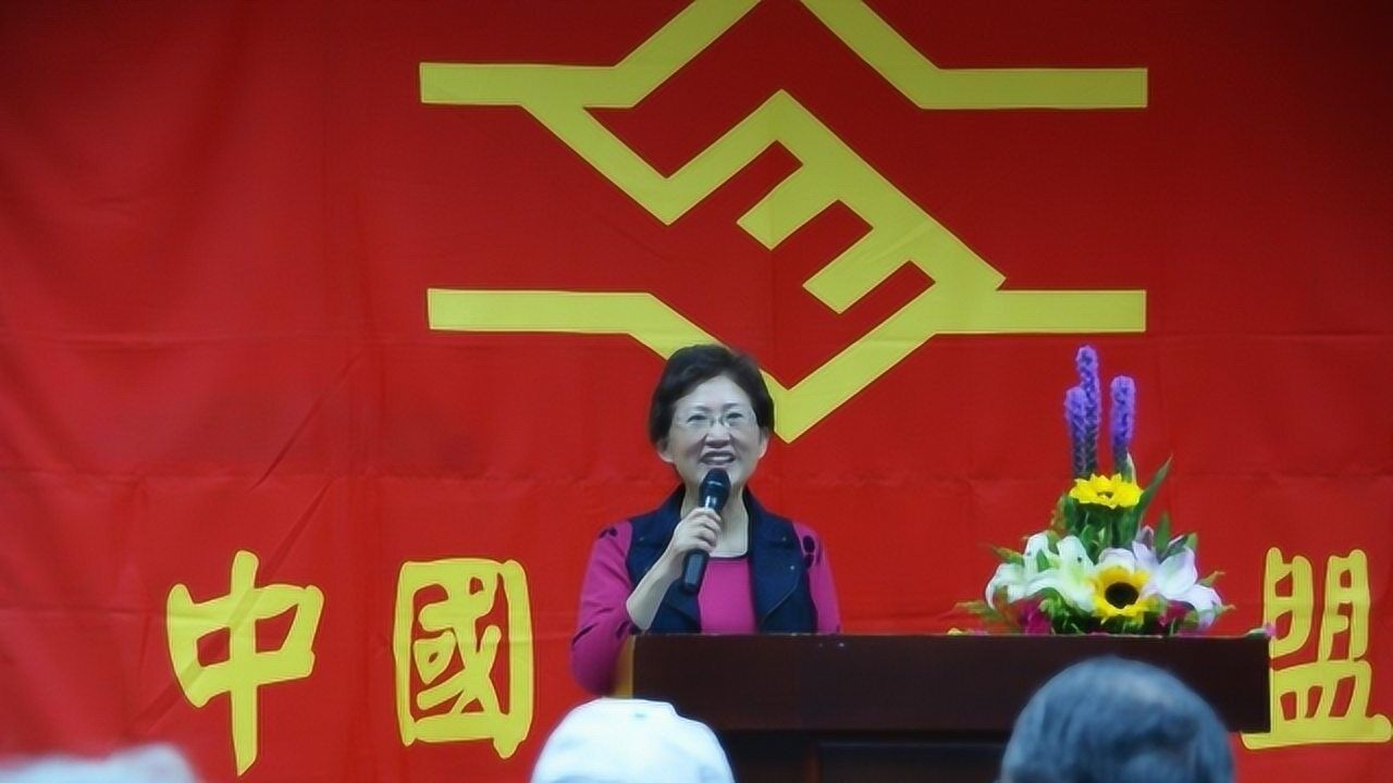 台湾政党发声：推进两岸统一，“两制”保障台湾人民统一后的生活_腾讯视频