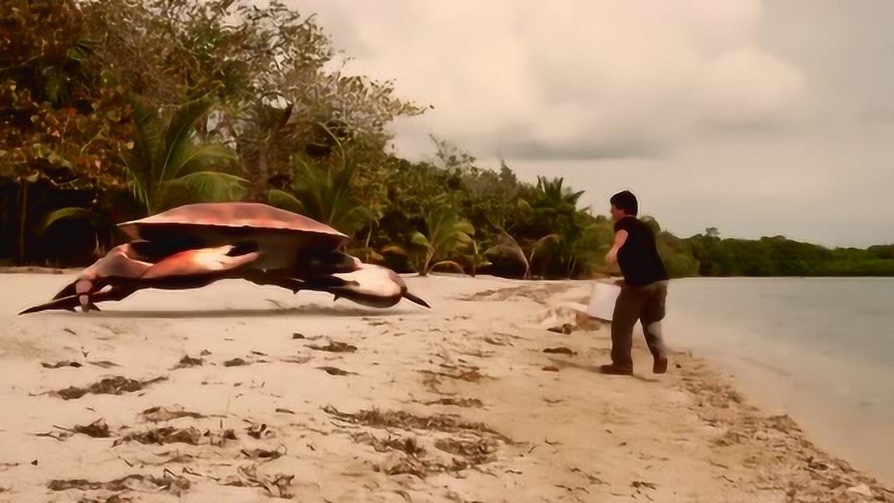 神剧小伙血博巨型螃蟹这部外国电影脑洞太大了