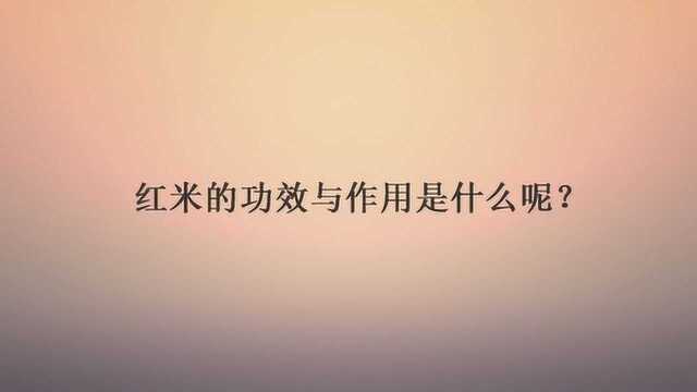 红米的功效与作用是什么呢?