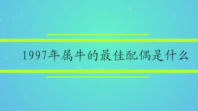 1997年属牛的最佳配偶是什么