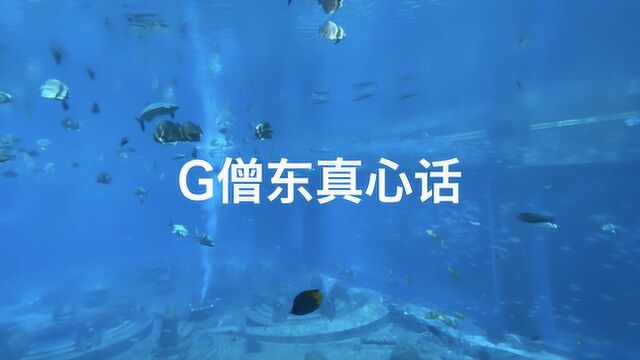 成为视频博主的第二年,G僧东走心地回答了他们38个问题