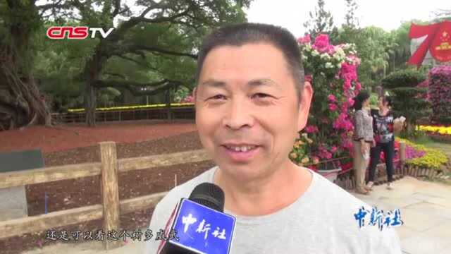 国庆福建彩车古榕树原型:福州千年古榕引游客纷至沓来