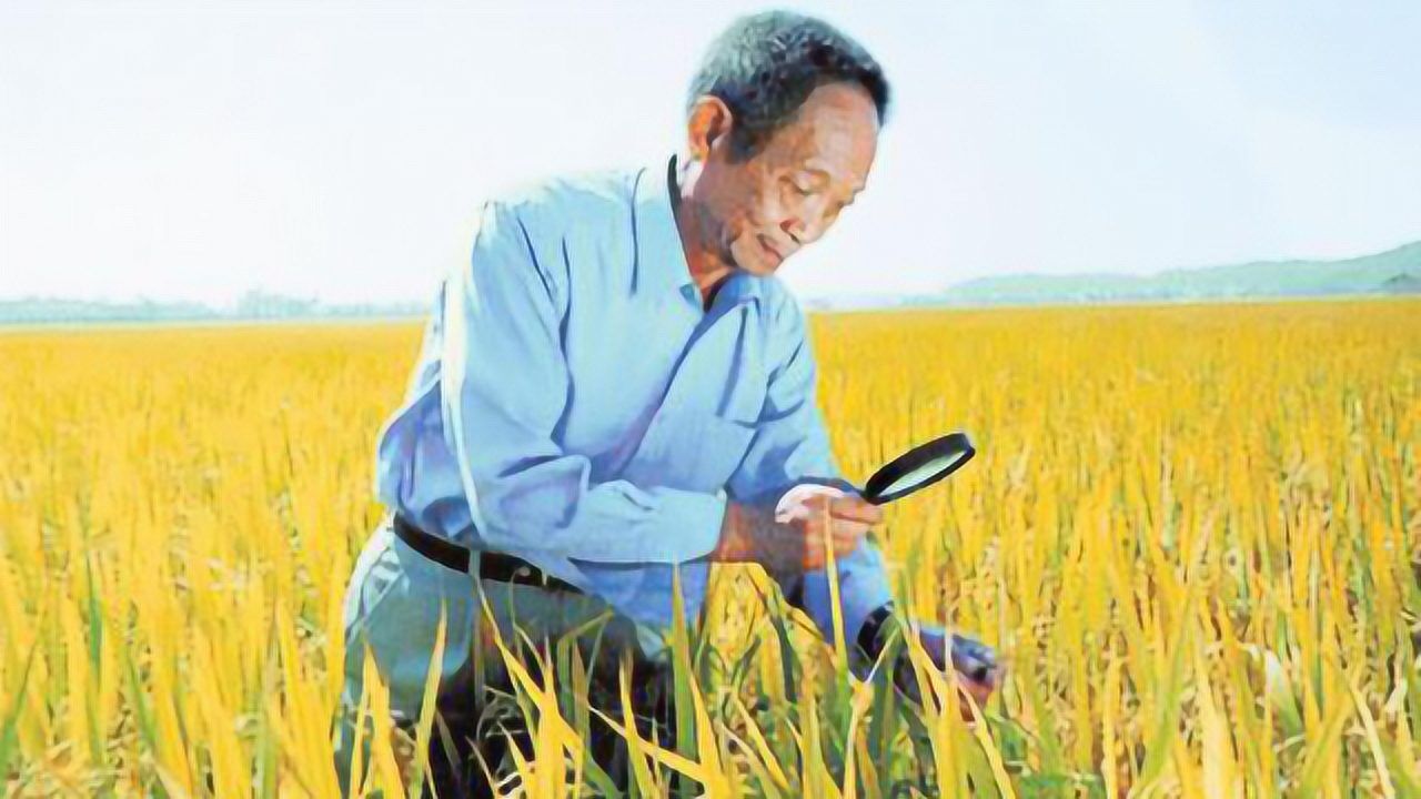 这位90岁的老爷爷身价超越李嘉诚他才是真正的中国隐形首富